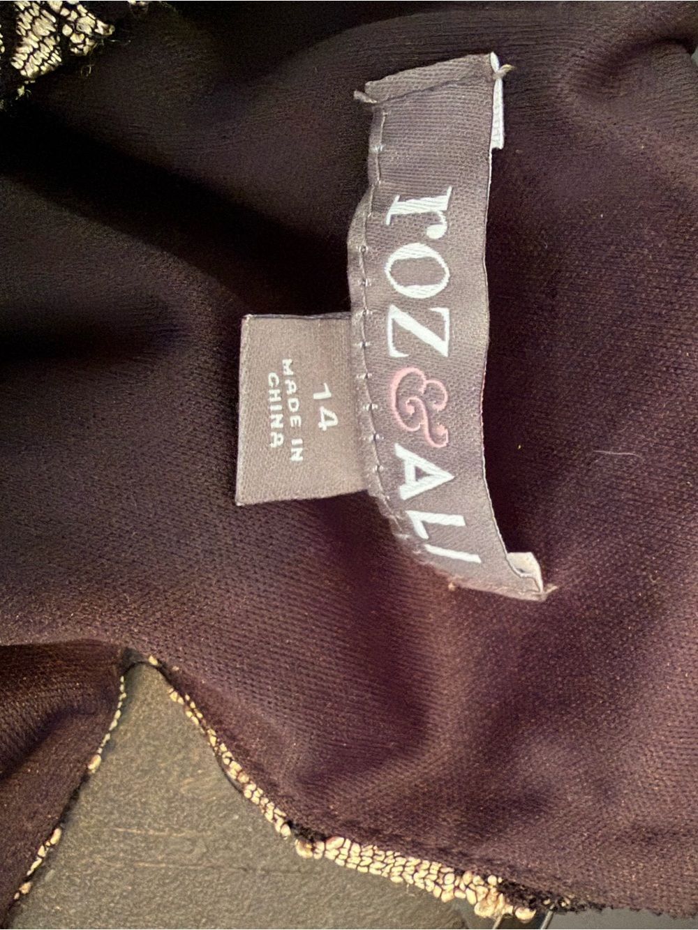 Roz & Ali Brown Lace Bodice Tulle Skirt Dress NWT - Picture 5 of 8
